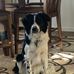 Vicki Rodabaugh-Lathrop - Facebook