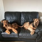 Vicky Rodgers - @vickyrodgers1 - Instagram