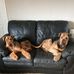 Vicky Rodgers - Facebook