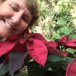 Vicky Rogers - @vickyrogers5522 - Instagram