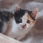 victoria - @vicky.rolandii - Instagram