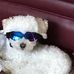 Vicki Wilkie Rollins - Facebook