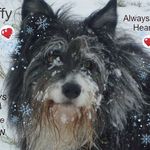 Vicky Rollinson - @rollinsonvicky - Instagram
