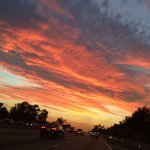 Vicky Rosen - @vsrosen - Instagram