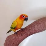 Vicki Rowan - @vicki.rowan.9 - Instagram