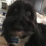 Vicky James Rowe - @vicrowegagirl - Instagram