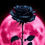 Vicky Rowe - Facebook