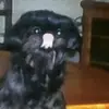 Vicky Rowe - @vicky.rowe46 - TikTok