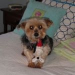 Vickie Parshall Rudolph Merk - @vickiegmerk - Instagram