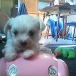 Vicky Rupp - @rupp.vicky - Instagram