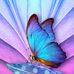 Vicki Rutledge - Facebook
