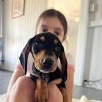 Vicky Ryan - Facebook