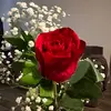 Vicky Saenz - @vicky.saenz5 - TikTok