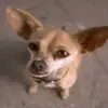 Vicky Sanchez - @vickysanchez165 - TikTok