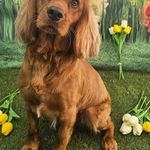 Vicky Saunders - @mrsvs250166 - Instagram