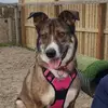 Vicky Saunders - @vicky.saunders5 - TikTok