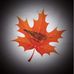 Vicki Schultz - Facebook