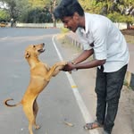 Vignesh Vicky - @__vicky__smart__ - Instagram