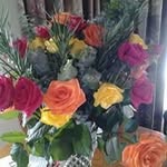 Vicky Stephens - @vstephens3644 - Instagram