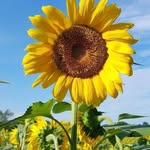 Vicky Stephens - @vicky.stephens.9277 - Instagram
