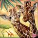 Vicky Stevens - Facebook