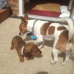 Vicky Thomas - @vickymessenger - Instagram