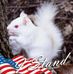 Vicky Timmons - Facebook