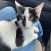 Ur mom - @vicky.todd33 - TikTok