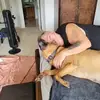 vickytodd5 - @vickytodd5 - TikTok
