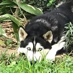 Vicky Trevino - @vickysatx - Instagram