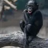 Vicki Ulrich - @vickiulrich - TikTok