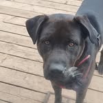 Vicki Ulrich - @vicki745564 - Instagram