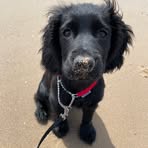 Vicky Underwood - Facebook