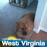 Vicky Underwood - @underwood8822 - Instagram