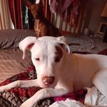 Vicky Upton - @vicky.upton.50 - Instagram