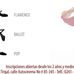 Estudio de Danzas Vicky Lapenta - Valencia - Facebook