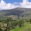 Vicky Valencia - @vicky.valencia36 - TikTok