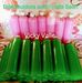 Shampoo casero  Sauri/ Distribuidora  Vicky Valle - Facebook