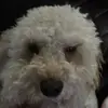 Vicky Valle - @vicky.valle80 - TikTok
