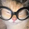 Vicky Vance - @vckyvnc - TikTok