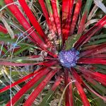 Vicky Vaughan - @vicky.vaughan.73 - Instagram