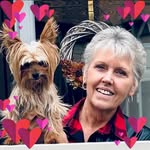 Vicky Vaughn Clarke - @vickyclarkeart - Instagram