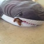 Vicky Vaughn Murphy - @vicky.murphy1 - Instagram
