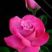 Vicky Vazquez - Facebook