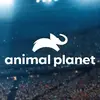 ,@vicky vena - @animal13212 - TikTok