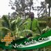 Vicky Vines - Facebook