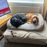 Vicky Waller Was Blackshire - @vicky_waller72 - Instagram