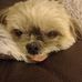 Vicky Walsh - Facebook