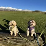 Vicky Ward - Facebook