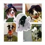 Vicky Ward - Facebook